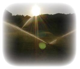 Irrigation sprinkler system at dusk.