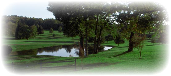 A beautiful landscape scene with a pond and lush green foilage.